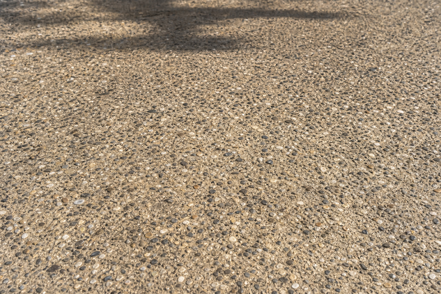 A 25-year-old Perth exposed aggregate driveway showing aged but well-maintained surface, weathered character but structurally sound, soft afternoon light, no people, photorealistic